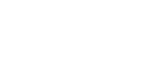 CatIQ Connect Logo White